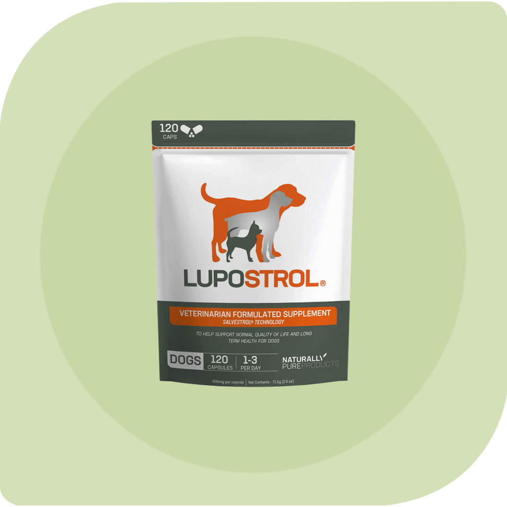 Lupostrol® 120 Capsules