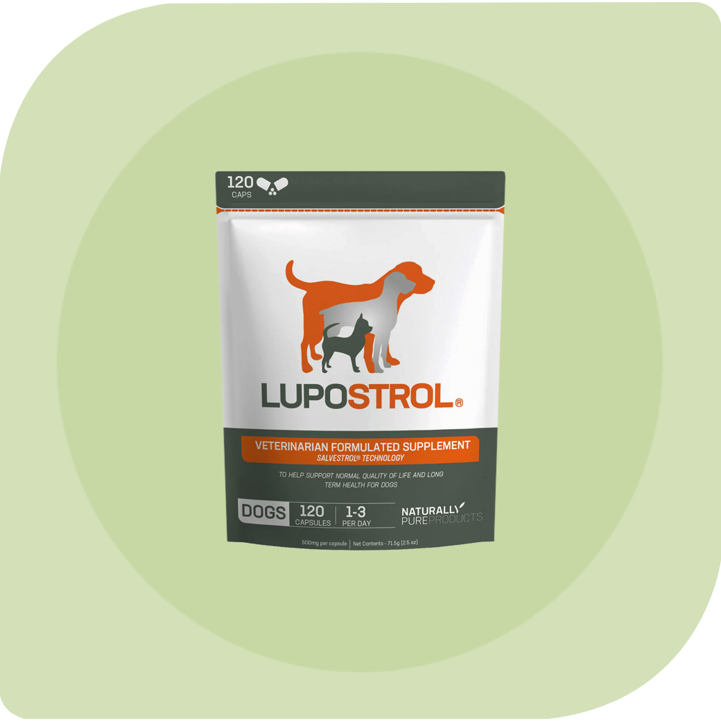 
                  
                    Lupostrol® 120 Capsules
                  
                